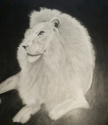 Lion Artwork by Vijay Deodhar